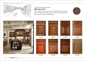 安徽實木門招商 柏林門業(yè) 產(chǎn)品畫冊展示系列