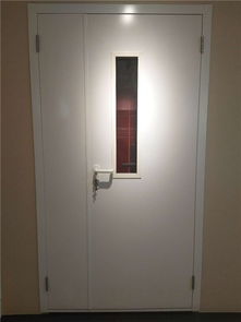 醫用鋼質平開門廠 潮州醫用鋼質平開門 百事特門業